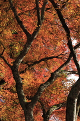 高源寺にて