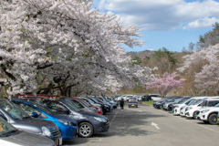 真人公園