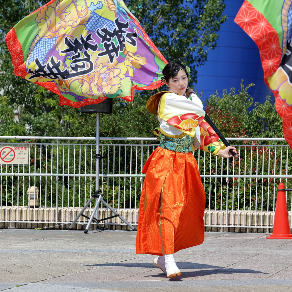 よさこい