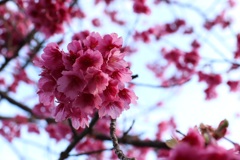 CF71B8C7-E308-4096-8A11-97800DBE9090