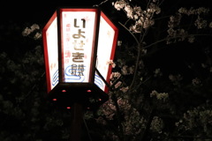 街灯
