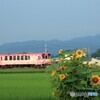 夏の日の上り一番列車