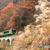 晩秋のめがね橋