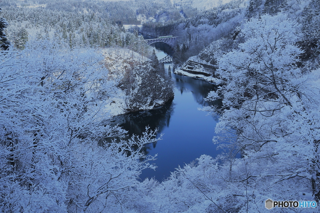 雪の華