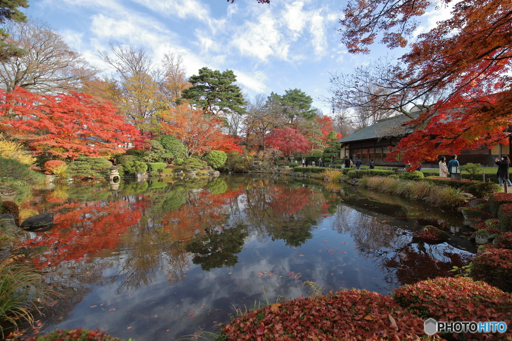 もみじ公園紅葉