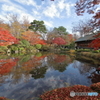 もみじ公園紅葉