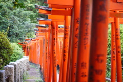 87C5263E-ECBE-4991-9283-1DF226F19FDB