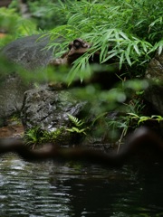 C8A16638-2DB4-4481-9FCE-51696B692D11