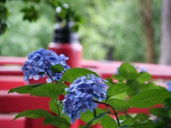 E5535D32-644C-47F7-8E1C-2F1438DEA1CA