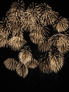 P7260152