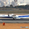 スカイランドHARADA ANA Q400