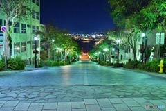 函館 夜の散歩②八幡坂