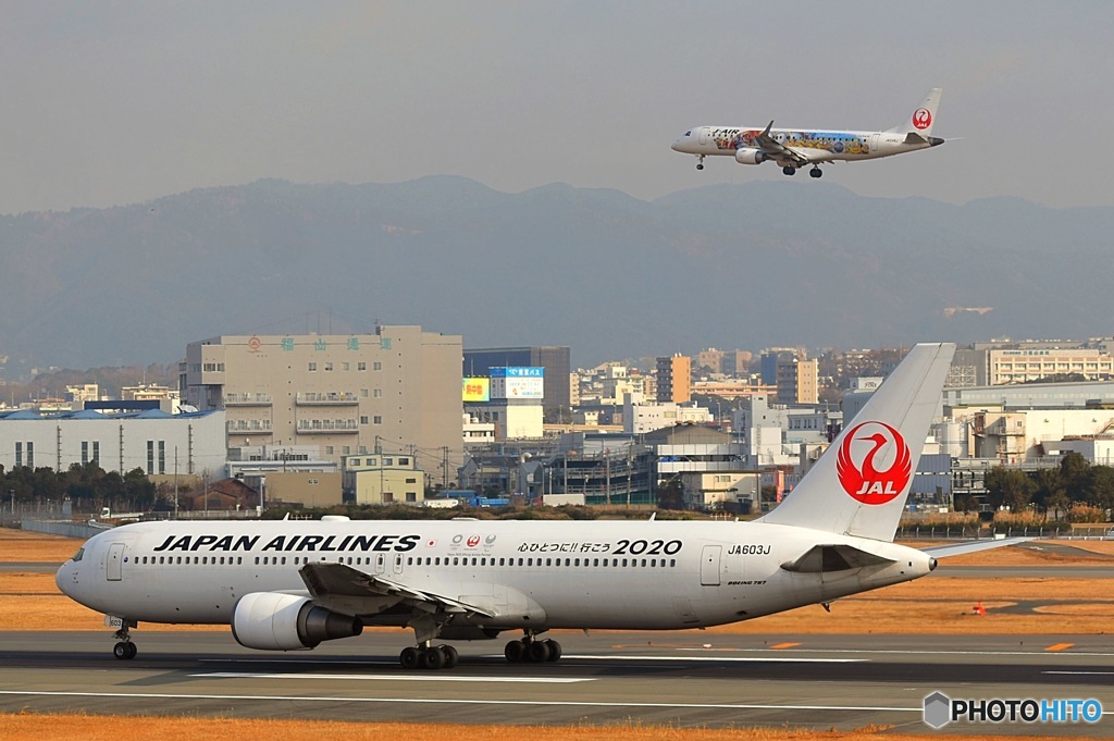 スカイランドHARADA JAL B767とミニオンジェット