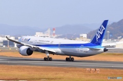 伊丹スカイパーク ANA B787-9