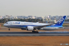 スカイランドHARADA ANA B787-8