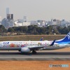 スカイランドHARADA ANA B737-800 東北FLOWER JET
