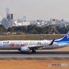 スカイランドHARADA ANA B737-800 東北FLOWER JET