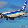 千里川 ANA B737-500