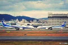 伊丹スカイパーク 飛行機のにらめっこ