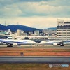 伊丹スカイパーク 飛行機のにらめっこ