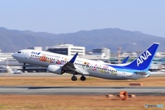 伊丹スカイパーク ANA B737-800 東北FLOWER JET