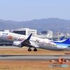 伊丹スカイパーク ANA B737-800 東北FLOWER JET