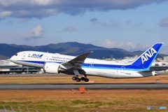 伊丹スカイパーク ANA B787-8