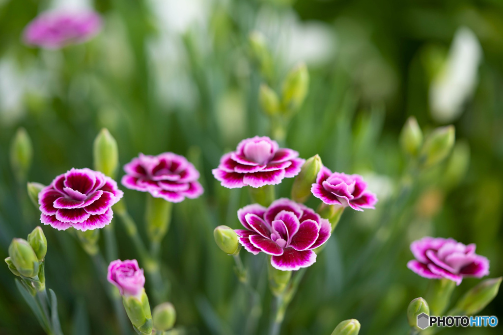 6373F4EE-EBFB-419C-8267-6422B9C24CD6