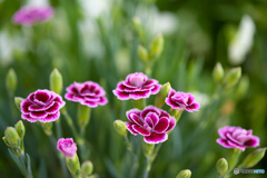 6373F4EE-EBFB-419C-8267-6422B9C24CD6