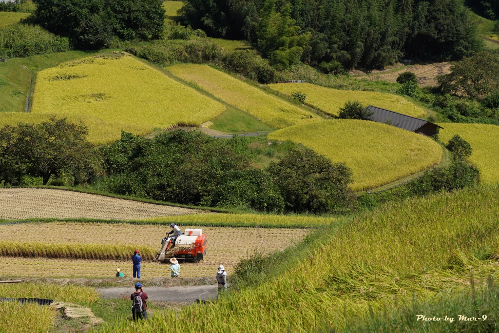 作業風景