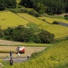 作業風景