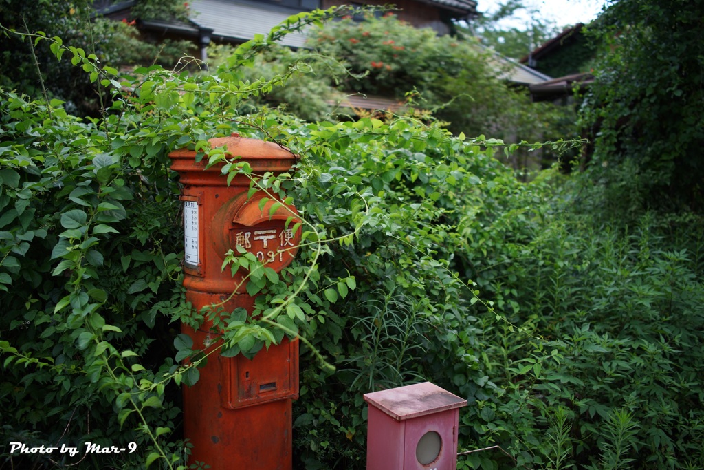 現役・・・ですか？