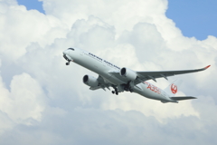 入道雲の空を背景に