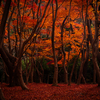 紅の終幕