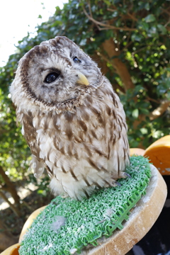 海の中道海浜公園