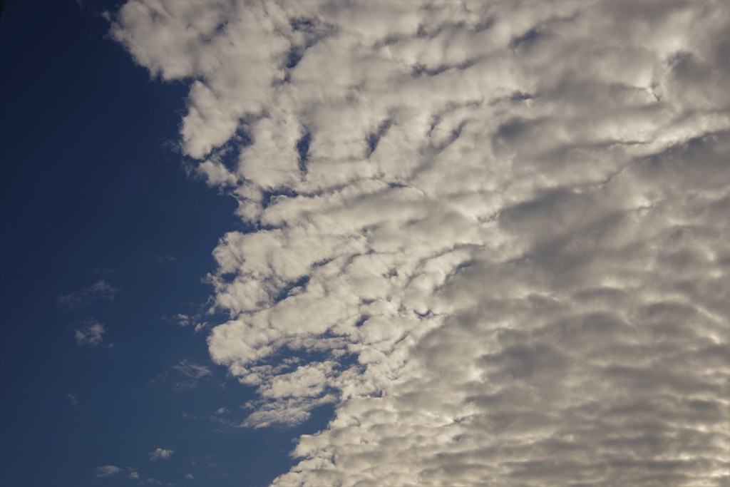 秋の雲