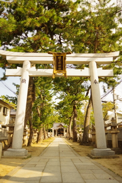 朝の散歩