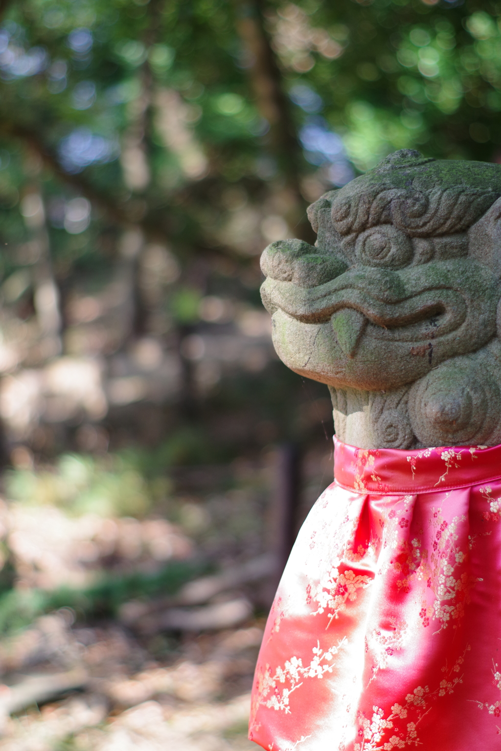見つめる