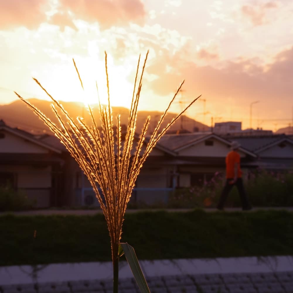 秋の夕暮れ