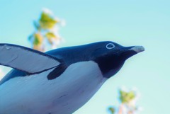 空飛ぶペンギン