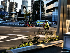 MARIOCART in AOYAMA