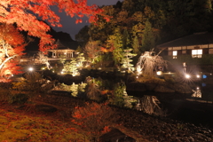 新勝寺　紅葉１