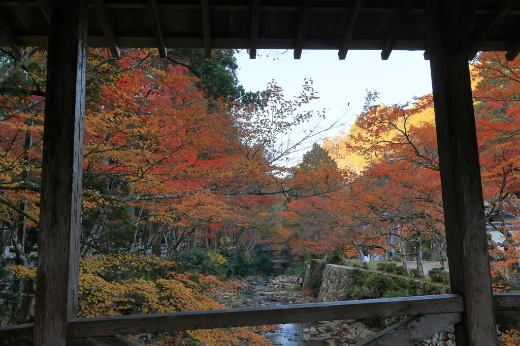 佛通寺の橋