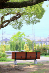 木陰でのひととき