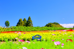日向ぼっこはいかが？
