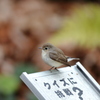 クイズも出してくれますｗ