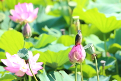 暑かった３日間、だけど嬉しかった♪