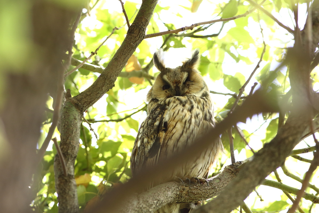 ②トラブズクさんでした～
