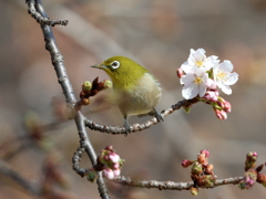 どれにしようかなぁ～