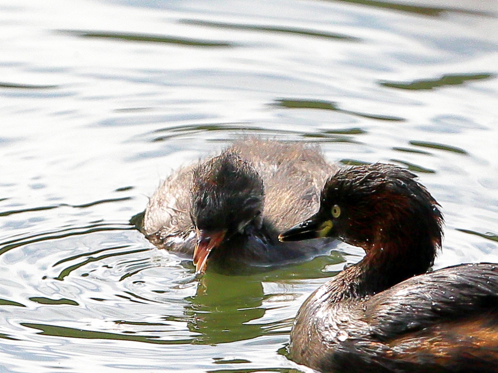 元気に育ったね♪